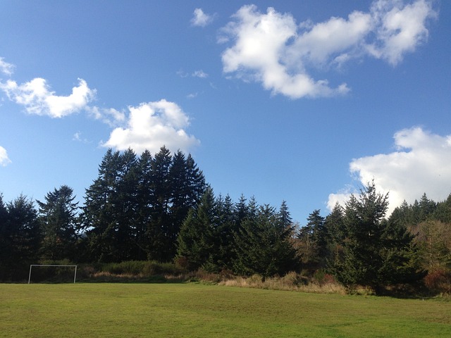 年轻和化学